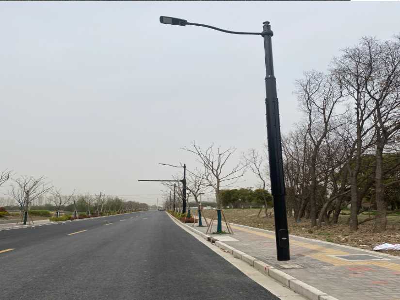会理市上海综合杆 太阳能路灯工程